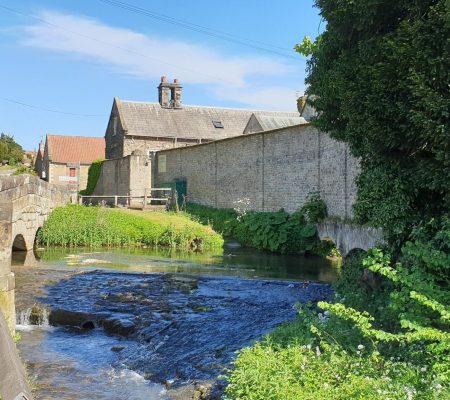 Thornton Le Dale 1
